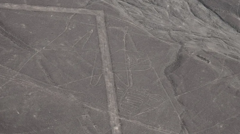 Nově objevený obrazec na planině Nazca