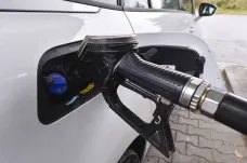 Benzin je nejdražší za devět let, nafta za osm. Nejvíce zaplatí motoristé v Praze a na Tachovsku