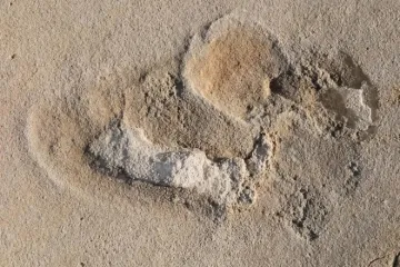 Vědci našli na Krétě humanoidní otisky nohou z dob před šesti miliony let. Jsou nejstarší na světě