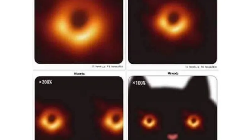 Černá díra jako mem