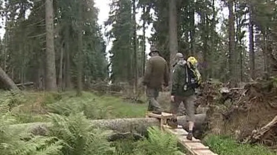 Šumava je mezi turisty stále oblíbená a její obliba stále vzrůstá.