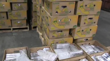 Kokain v bednách s banány z Ekvádoru