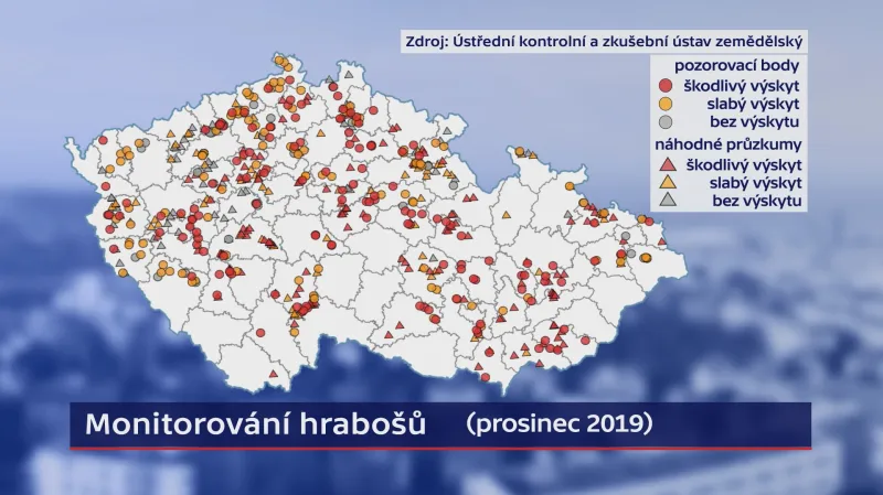 Výskyt hraboše polního