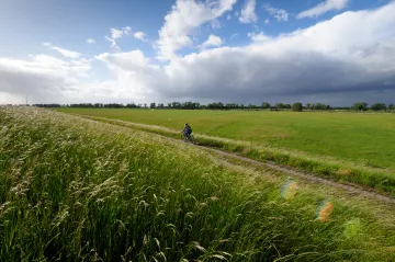 V předpovědních modelech se už dá zahlédnout základní podoba počasí letošního léta