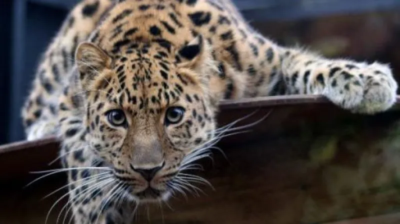 Rozhovor s Miroslavem Bobkem