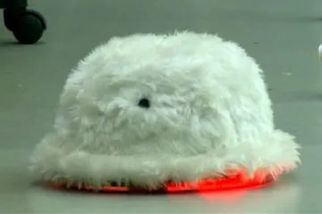 Zamilovaný robot ze Singapuru