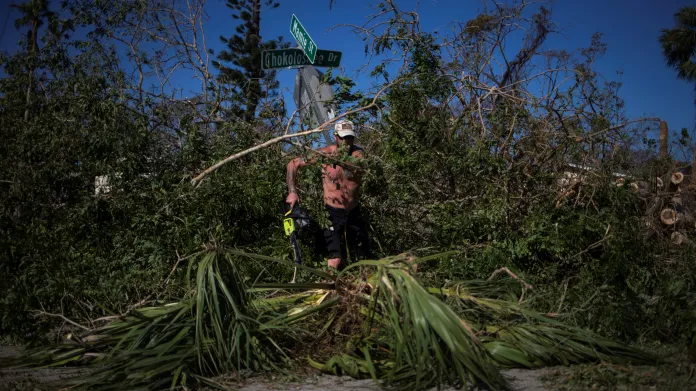 Dobrovolník odklízí polámané palmy na floridském Chokoloskee Island