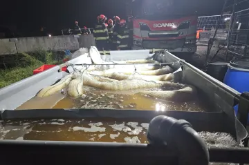 V Hustopečích na Břeclavsku unikla do potoka nafta