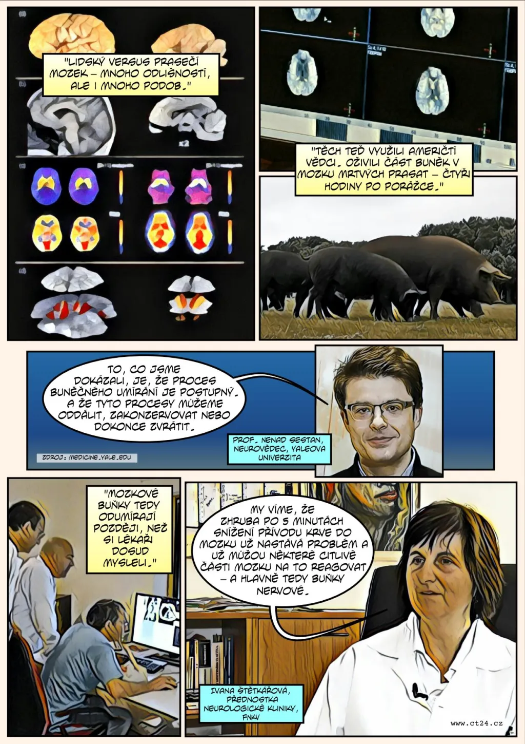 Komiks: Vědci oživili mozky