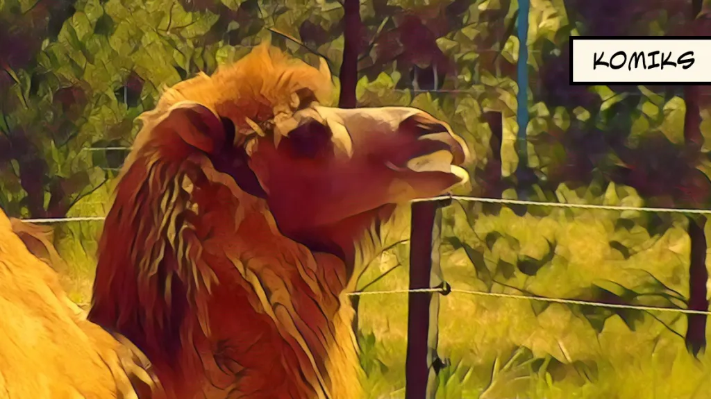 Zoo otevírají