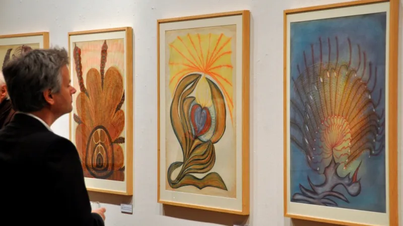 Anatomia Metamorphosis