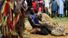 Hyení muži ze severní Nigérie jsou se šelmou spojeni celý život. Zvíře je doprovází na cestách a je i pomocníkem při obživě