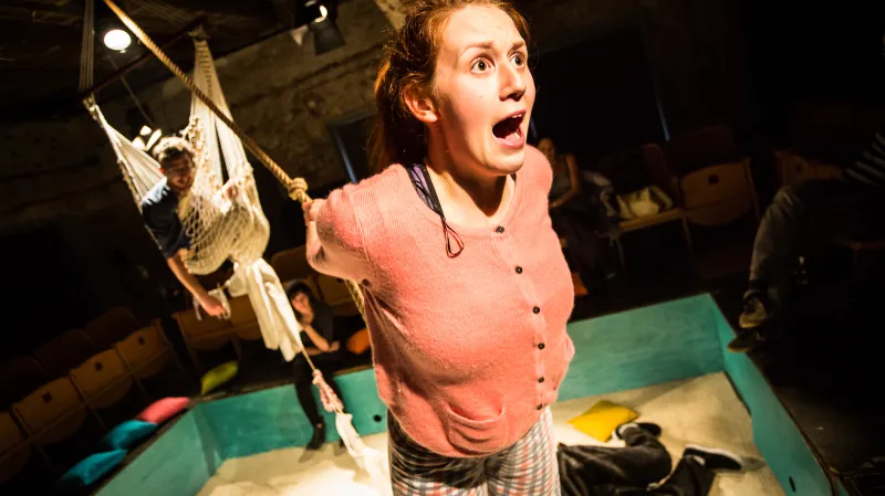 Na Ostrově Štvanice porostou housle