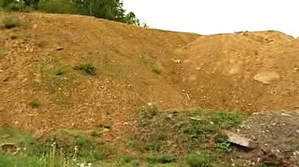 Zemina