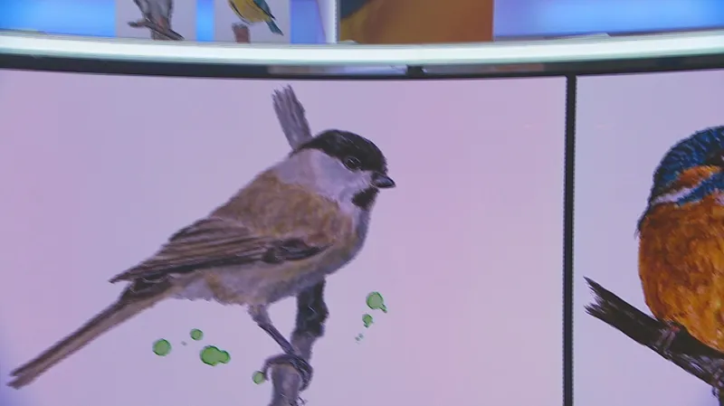 Ptáčci Lenky Benešové