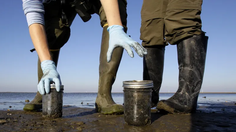 Havárie Deepwater Horizont