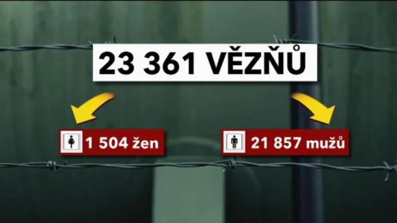 Reportáž Lucie Komňacké