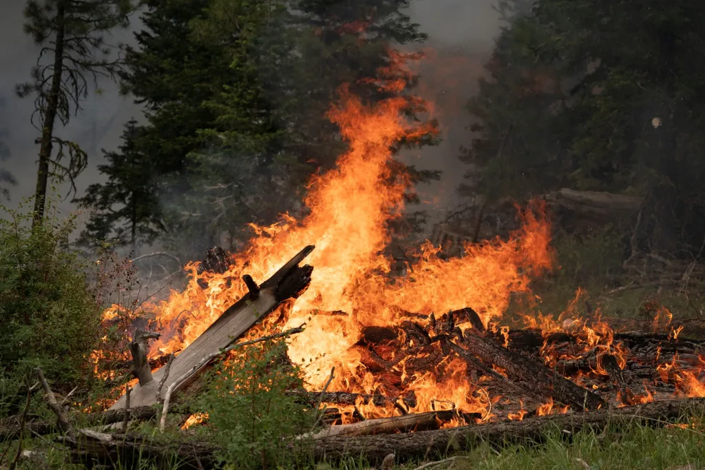 Požáry v hornatých oblastech státu Oregon mají přímý dopad na smogovou situaci ve velkých městech Spojených států amerických