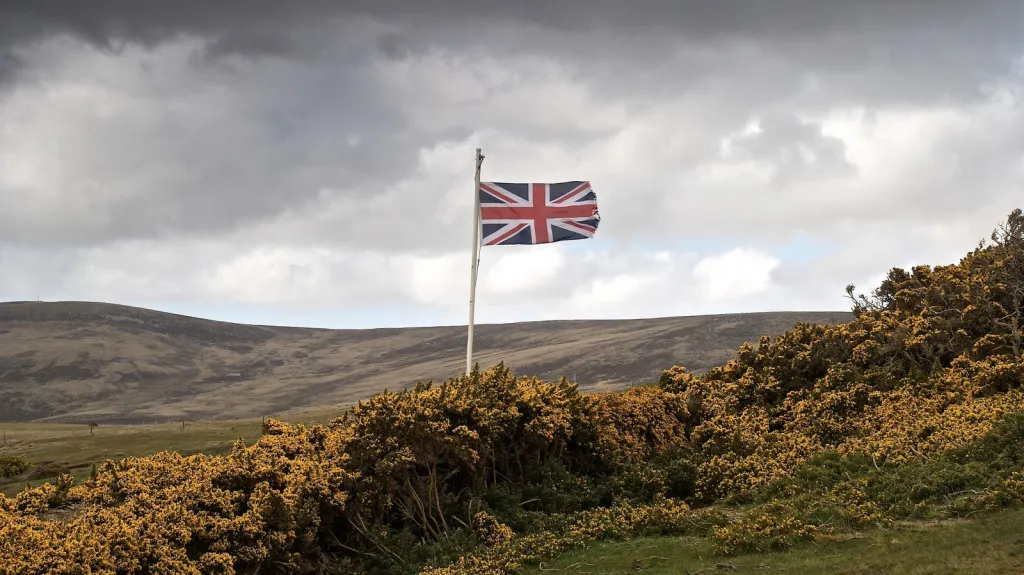 Falklandy
