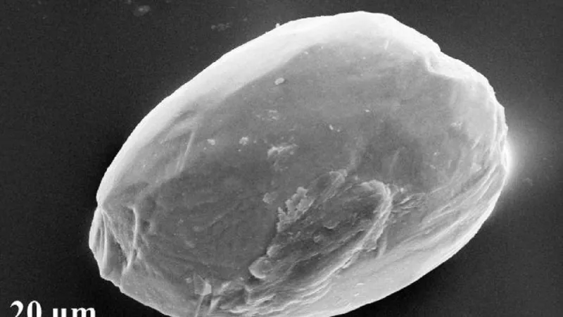 Zrnko saharského písku transportované vzduchem