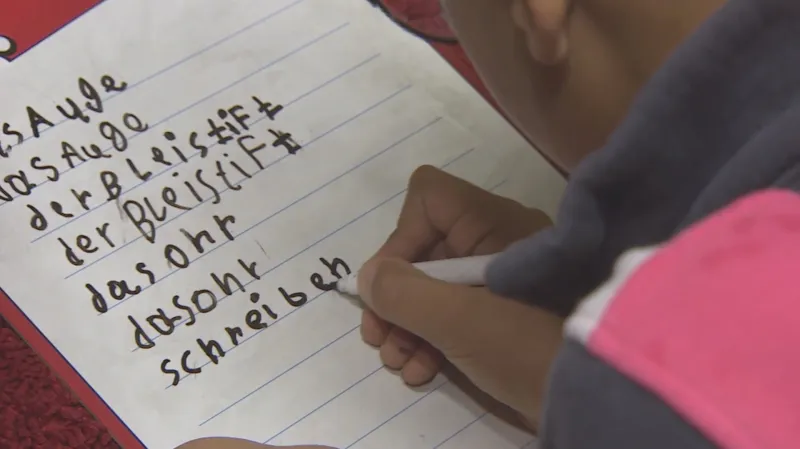 Řada německých školáků neumí řeč ani abecedu