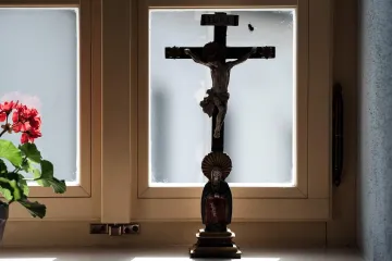 ČSSD a ANO chtějí snížit náhrady za restituce o 13 miliard