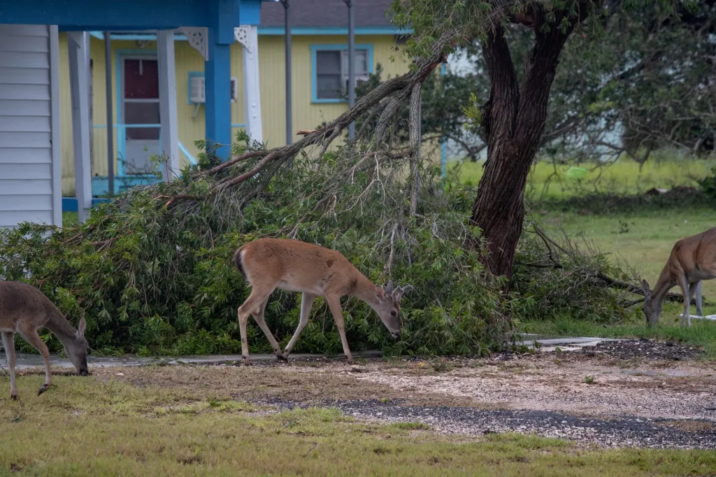 Hurikán Hanna zasáhl Texas a část Mexika