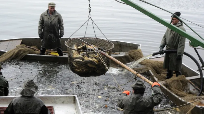 Výlov rybníka Hnačov na Klatovsku